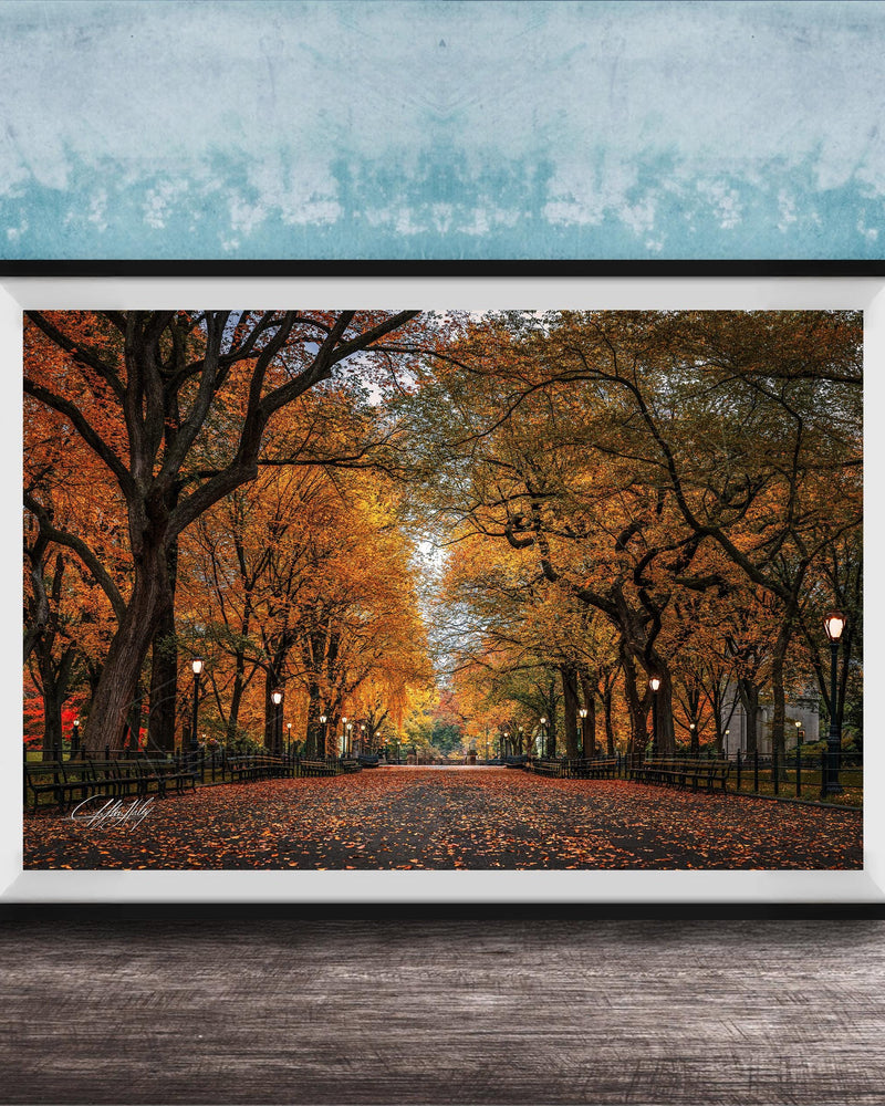 A framed photograph depicting a tree-lined street with fallen leaves, set against a blue wall.