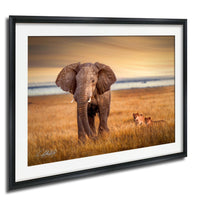 A large elephant stands in a grassy field, with two smaller lions resting nearby, against a backdrop of a sunset sky.