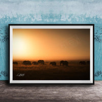 A framed photograph depicting a herd of elephants grazing in a field during a sunset.