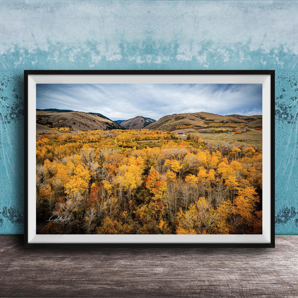 The image is a framed photograph of a scenic landscape with a valley filled with trees displaying autumn colors.