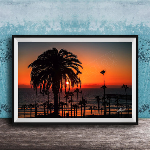 A framed photograph depicting a palm tree silhouetted against a vibrant sunset over the ocean.