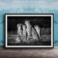 A group of five cheetahs, including two adult ones and three younger ones, standing together in a natural setting.