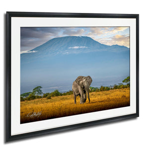 A lone elephant stands in a golden field, with a majestic mountain range in the background under a cloudy sky.