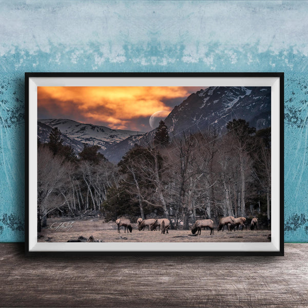 A framed photograph depicting a group of deer grazing in a field with snow-capped mountains in the background, under a dramatic sky with a crescent moon.