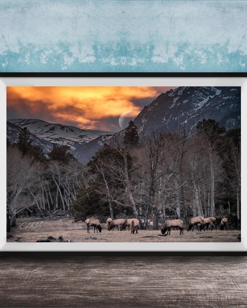 A framed photograph depicting a group of deer grazing in a field with snow-capped mountains in the background, under a dramatic sky with a crescent moon.