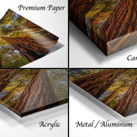 The image is a collage of four different images, each depicting a tree with a distinct texture and finish, including premium paper, canvas wrap, acrylic, and metal/aluminum.