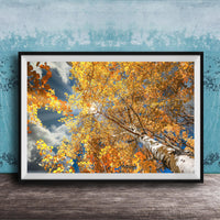 A framed photograph of a tree with vibrant yellow leaves against a blue sky with clouds, displayed on a wooden surface against a textured blue wall.