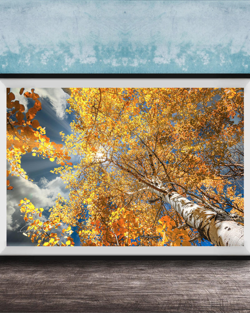 A framed photograph of a tree with vibrant yellow leaves against a blue sky with clouds, displayed on a wooden surface against a textured blue wall.
