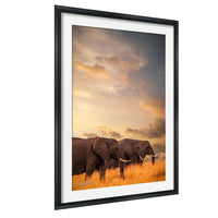 Big Tusker Elephant Print - African Bull Elephants Wildlife Canvas Art