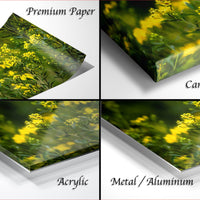 The image is a collage of four photos depicting different types of paper or materials, including premium paper, canvas wrap, acrylic, and metal/aluminum.