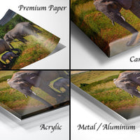 The image is a collage of four photographs depicting elephants in various settings, including a grassy field, a forest, and a savanna.