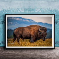 Western Bison Canvas Print – Rustic Buffalo Wall Decor with Bison Fur Texture Detail