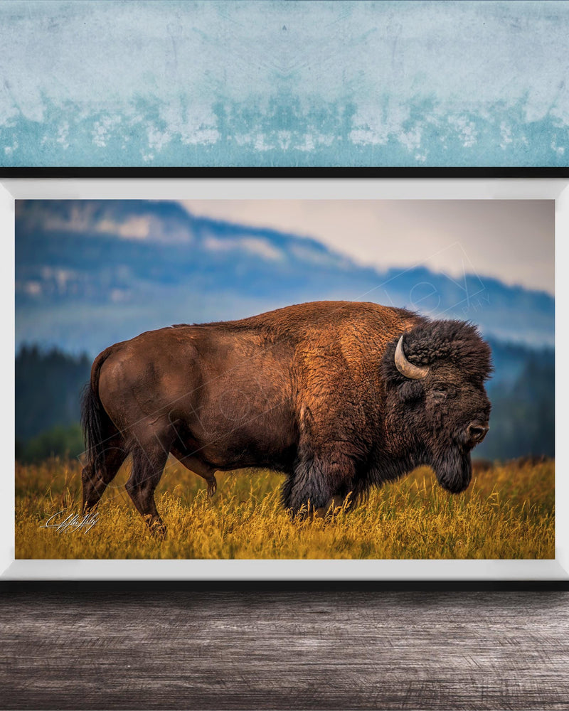 Western Bison Canvas Print – Rustic Buffalo Wall Decor with Bison Fur Texture Detail