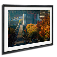 a cityscape with a bridge, buildings, and trees with autumn foliage.