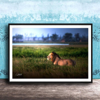 Lion Wildlife Wall Art | Maasai Mara Safari Boho Print Decor