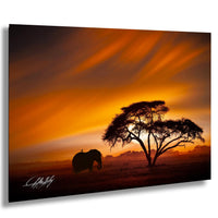 A lone elephant stands silhouetted against a vibrant sunset sky, with a large tree in the foreground.