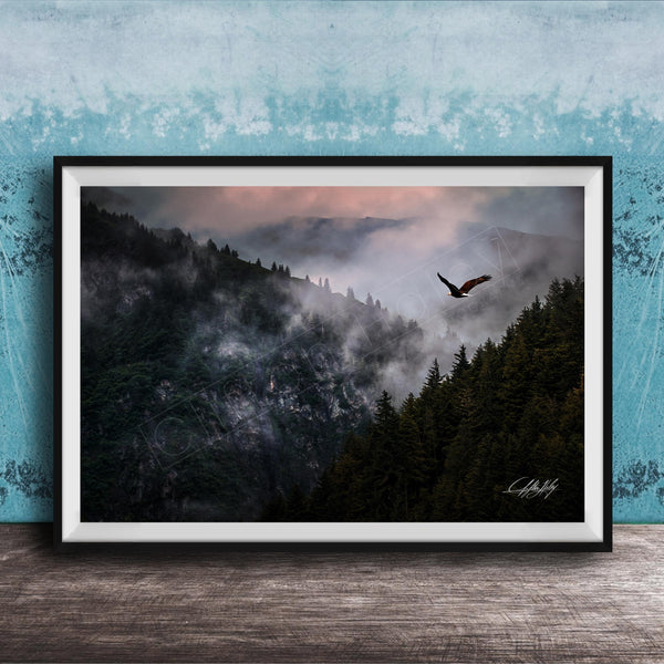 A framed photograph depicting a bird soaring over a misty mountain landscape with a forested area below.