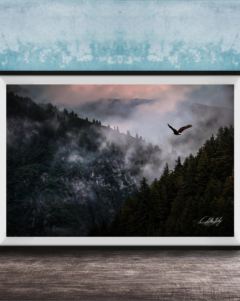 A framed photograph depicting a bird soaring over a misty mountain landscape with a forested area below.