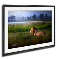 Lion Wildlife Wall Art | Maasai Mara Safari Boho Print Decor