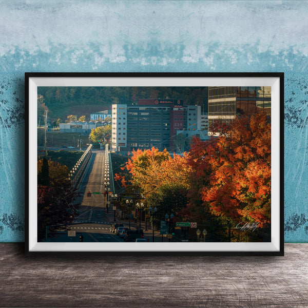 a cityscape with a bridge, buildings, and trees with autumn foliage.
