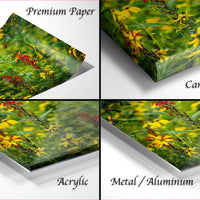The image is a collage of four different images, each depicting a vibrant green field with yellow flowers. The images are labeled as "Premium Paper", "Canvas Wrap", "Acrylic", and "Metal/Aluminum".