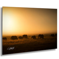 Kenya elephant safari, African sunset photography, wildlife photography Kenya, Maasai Mara elephants, elephant family portrait, African wildlife conservation, safari photography tips, best Kenya safaris, elephant mother and calf, sunset in Maasai Mara, Kenya nature photography, elephant herd migration, African savannah life