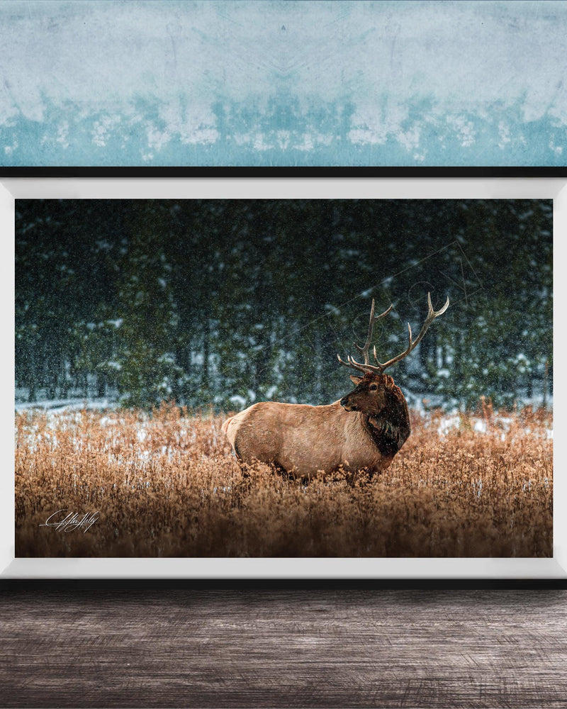 A brown elk with large antlers stands in a snowy field, surrounded by trees and snow-covered ground.