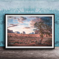The image is a framed photograph depicting a desert landscape with a large tree in the foreground and mountains in the background under a cloudy sky.