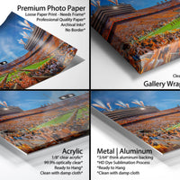 The image is a collage of four different images, each depicting a large crowd at a sports stadium. The images showcase the excitement and atmosphere of the event, with the crowd filling the stadium and the stadium's vibrant colors and patterns clearly visible.