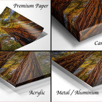 The image is a collage of four different types of materials used for printing or displaying artwork, including premium paper, canvas wrap, acrylic, and metal/aluminum.
