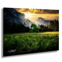 a serene landscape with a majestic mountain range in the background, a lush green field in the foreground, and a tree in the middle of the field. The sun is setting behind the mountains, casting a warm glow over the entire scene.