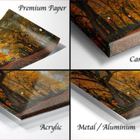 The image is a collage of four different views of a tree-filled park, with the text "Premium Paper", "Canvas Wrap", "Acrylic", and "Metal/Aluminum" indicating the materials used for the prints.