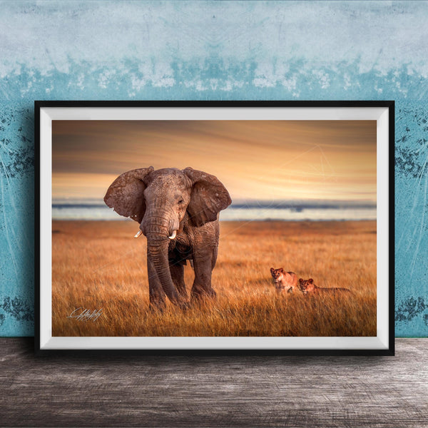 A large elephant stands in a grassy field, with two smaller lions in the background, against a backdrop of a blue sky with clouds.