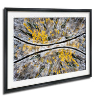 The image is a framed aerial view of a snowy forest with yellow and green foliage.