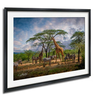 A framed photograph depicting a group of giraffes and zebras in a natural setting, with a tree in the background.