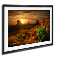 A framed photograph depicting a desert landscape at sunset, with silhouetted rock formations in the background and a small plant with red flowers in the foreground.