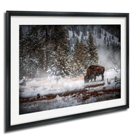 A lone bison grazes in a snowy forest, surrounded by snow-covered trees and a misty mountain backdrop.