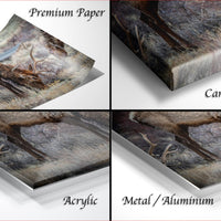 The image is a collage of four different views of a deer in a forest, each with a different type of paper or material covering it.