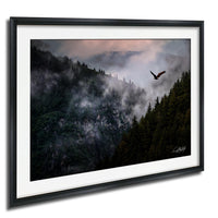 A framed photograph depicting a bird soaring over a misty mountain landscape with a forested area below.