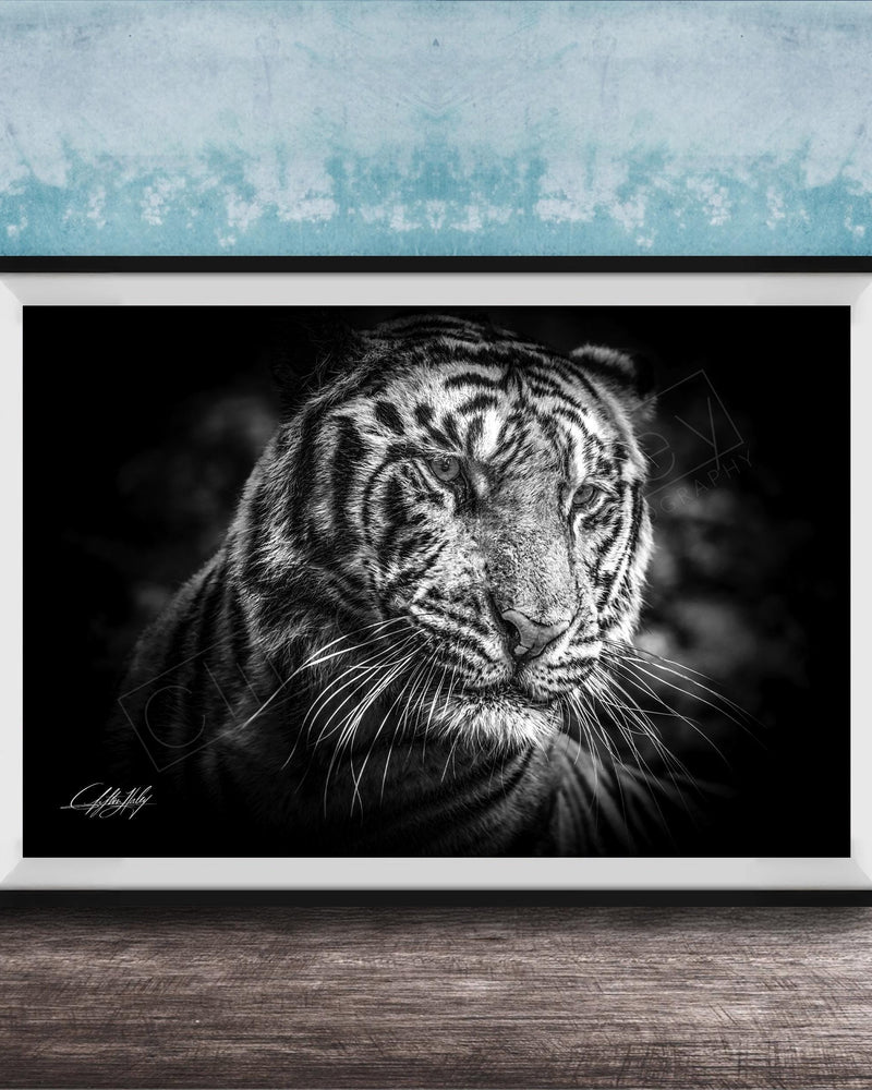 Tiger Wall Art, Sumatran Jungle Tiger Print | Boho Tropical Decor