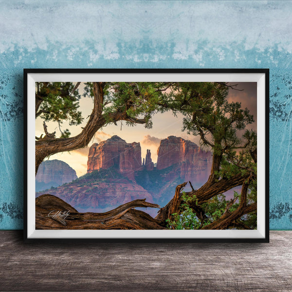 a scenic view of a mountain range with a large rock formation in the center, surrounded by lush greenery and a tree branch framing the scene.