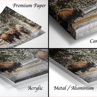 The image is a collage of four photographs depicting bison in various settings, including a snowy landscape and a forested area.