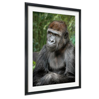 gorilla photography, silverback wall art, uganda jungle print, wildlife fine art, african nature decor, primate photo art, rainforest wall decor, safari home artwork, jungle wildlife print, gorilla portrait art, bwindi forest photo, african wilderness decor, nature lover gift, travel wall art, exotic wildlife image
