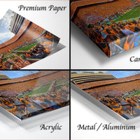 four different views of a large crowd at a sports stadium, with the crowd filling the stands. The text labels the different types of materials used to print the image: "Premium Paper", "Canvas Wrap", "Acrylic", and "Metal/Aluminum".