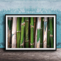 A framed photograph of a close-up view of green bamboo stalks against a blue background.