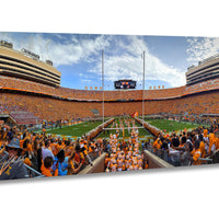 A large crowd of people wearing orange clothing gathered in a stadium, with a football field visible in the background.