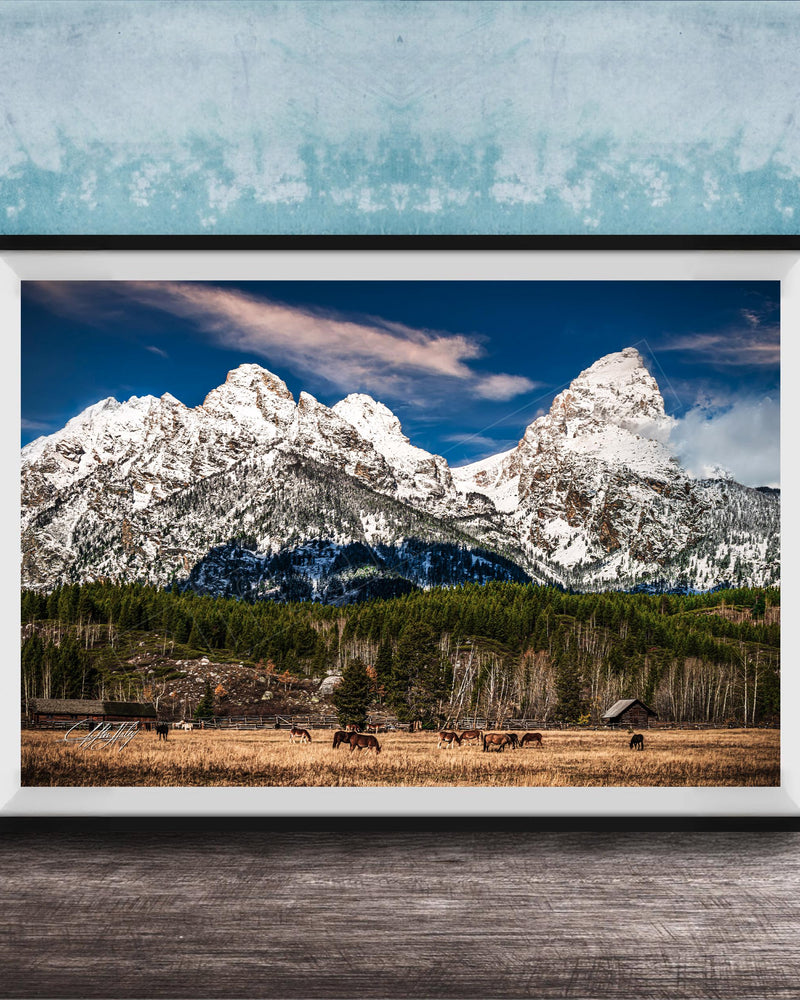 A framed photograph of a serene mountain landscape with snow-capped peaks, a lush green forest, and a herd of horses grazing in the foreground.