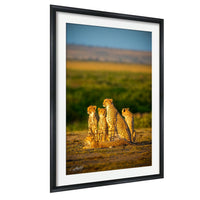 A group of five cheetahs resting on the savanna, with a clear blue sky in the background.