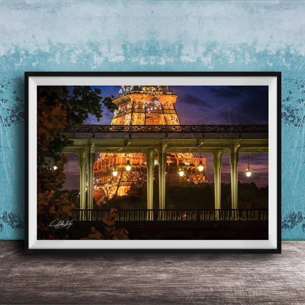 A framed photograph of the Eiffel Tower at night, with the tower illuminated and surrounded by trees and a bridge.