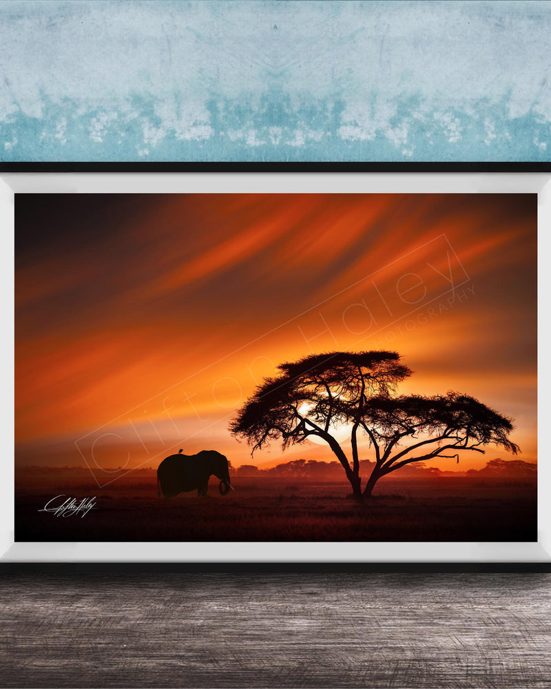 A framed photograph depicting a lone elephant standing in front of a large tree silhouetted against a vibrant orange and red sunset sky.